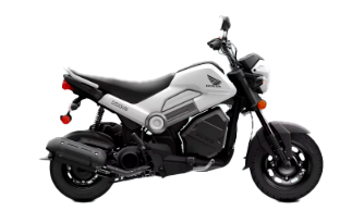 Model Image